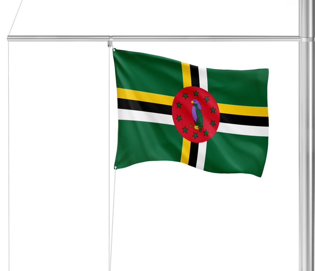 Gastlandflagge Dominica 30x45cm - Glanzpolyester -