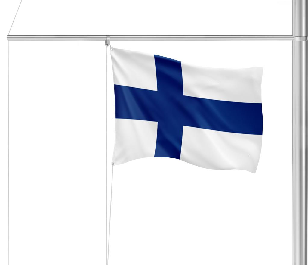 Gastlandflagge Finnland 20X30cm