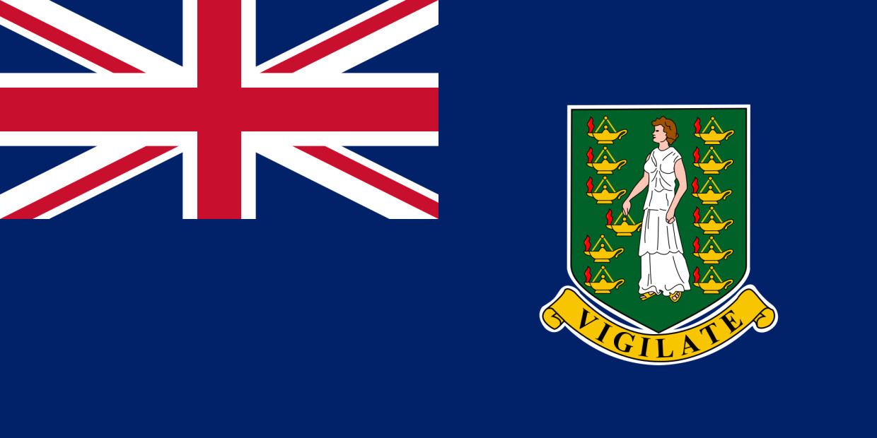 Gastlandflagge British Virgin Islands 30x45cm - Glanzpolyester -