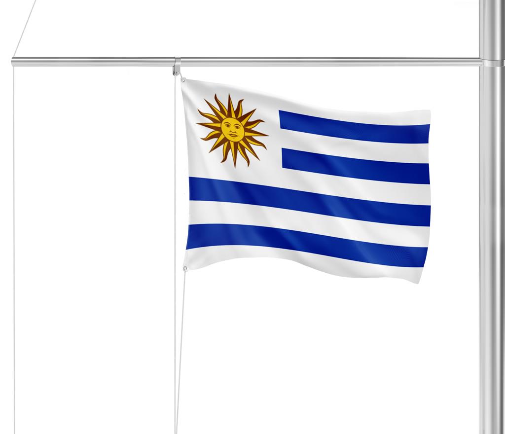 Gastlandflagge Uruguay 20X30cm