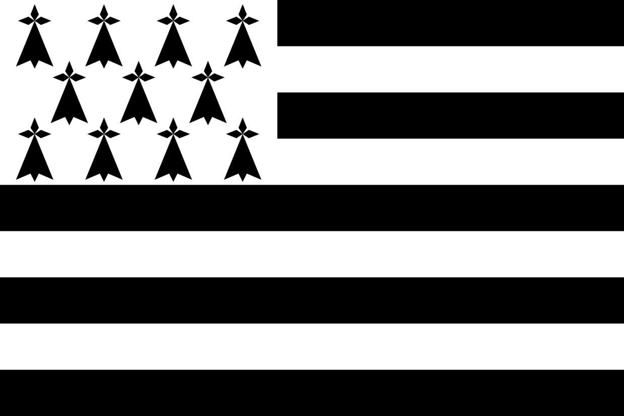Gastlandflagge Bretagne 30x45cm