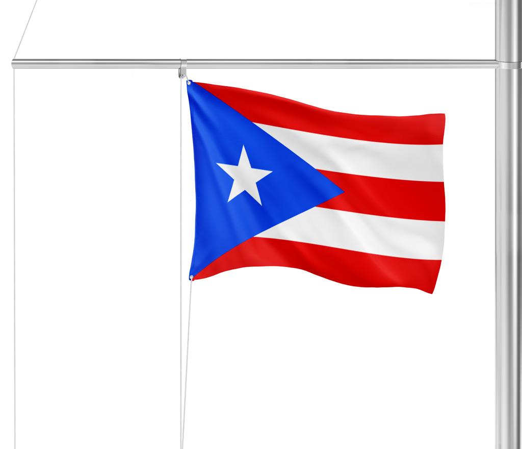 Gastlandflagge Puerto Rico 20X30cm