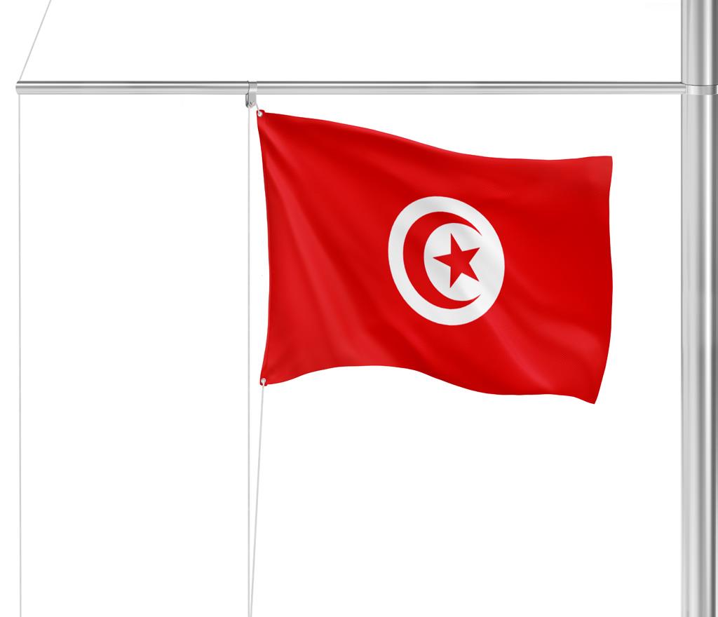 Gastlandflagge Tunesien 30X45cm